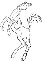 Sketch of  horse