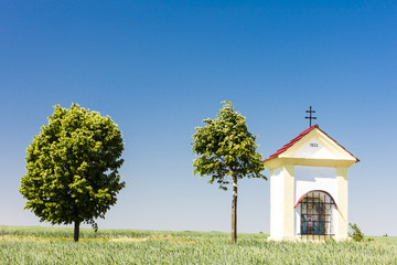 God's torture with grain, Southern Moravia, Czech Republic