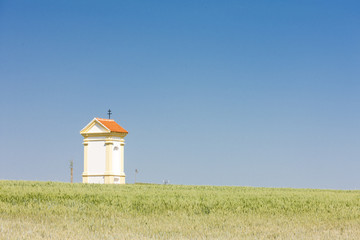God's torture with grain, Southern Moravia, Czech Republic