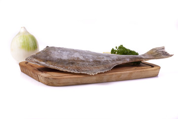 Frozen flounder © blistwan