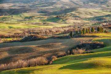 Fototapeta na wymiar Beautiful Tuscany fields and landscape