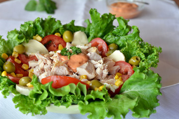 Fresh Healthy Chicken Salad