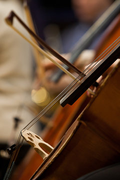 Fragment Cello closeup