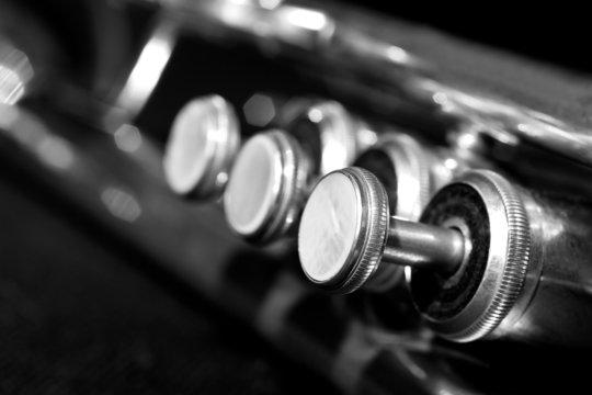 Fragment trumpet closeup