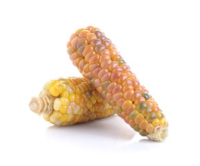 corn on white background