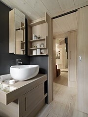 interior view of a modern bathroom with wood paneling