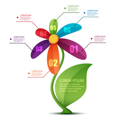 flower infographic