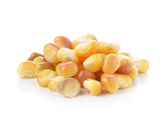 corn on white background