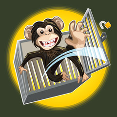Baby Chimpanzee Breaking A Cage