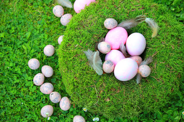 Fototapeta na wymiar Ostern - Eier im Nest