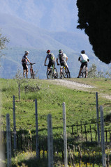 Fototapeta premium Ciclisti in Valtenesi