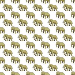 Elephant pattern