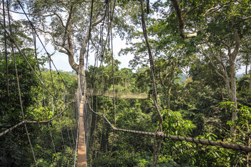 Canopy walkway in Kakum National Park, Ghana, West Africa