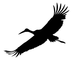 Crane flying.  Vector silhouette