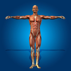 Conceptual 3D human man health anatomy