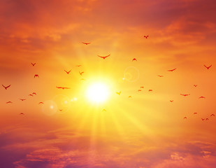 summer sunset