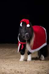Pony Weihnachtsmann