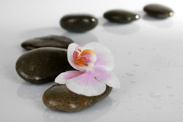 Obraz na płótnie Canvas Spa stones with orchid isolated on white