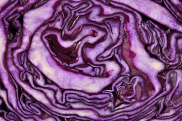 Fototapeta premium Sliced red cabbage close up