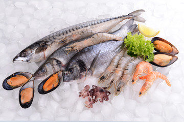 Fresh fish and other seafood on ice