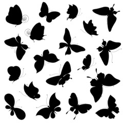 butterflies design