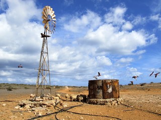wind wheel at Gnaraloo Station, West Australia