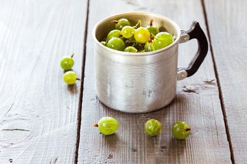 Green gooseberries in a aluminum cup
