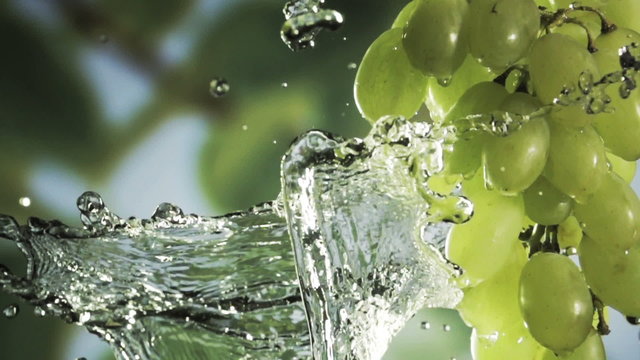 Bunch of green grapes in a spray of water