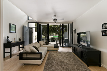 interior decoration of a living room