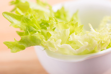 curly green salad