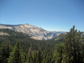 Forested Mountain Valley