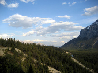 Banff Vista