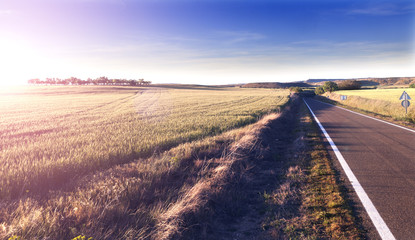 Aventuras por carretera.Camino y campos.Concepto de viaje.