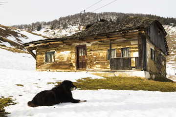 Fototapety na wymiar - Fototapeta24.pl