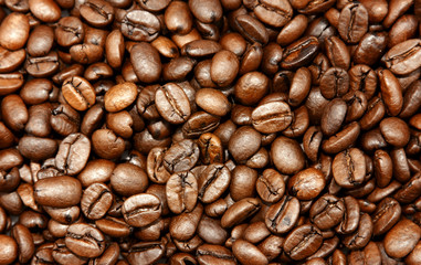 Fototapeta premium Coffee beans