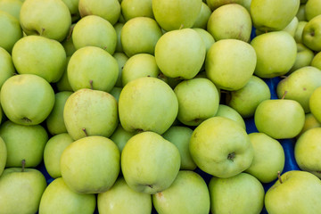 Green Apple Background