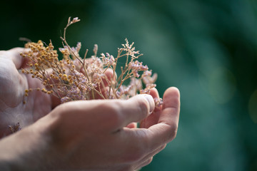 flowers male hand
