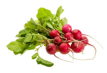 Fresh radish