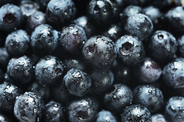 Blueberries