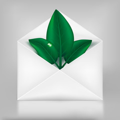 Eco concept. Green leafs in paper envelope.