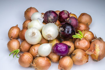 Real white red and gold onions group painted with light