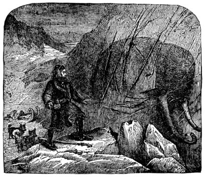 Victorian Engraving Of A Discovery Of A Frozen Mammoth