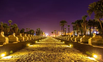 Photo sur Aluminium Egypte Alley of the Sphinxes in Luxor - Egypt