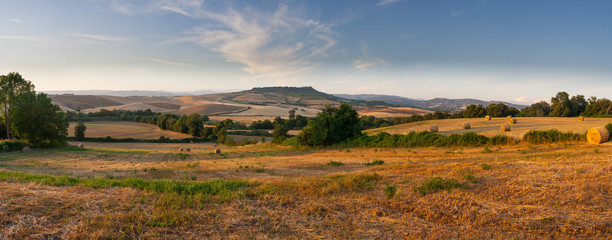 countryside panorama of tuscan maremma near saturnia - obrazy, fototapety, plakaty