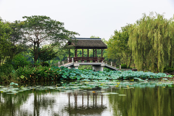 Fototapeta na wymiar Hangzhou xixi wetland landscape