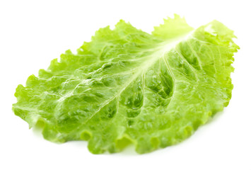 Naklejka na ściany i meble Green lettuce isolated on white