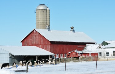 Dairy Farm © StevertS