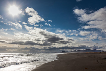 Fototapeta na wymiar The Pacific coast. Black sand. Kamchatka.