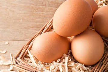 Egg on sawdust with old basket over on wooden background