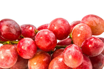 Red grape with water drops on white background